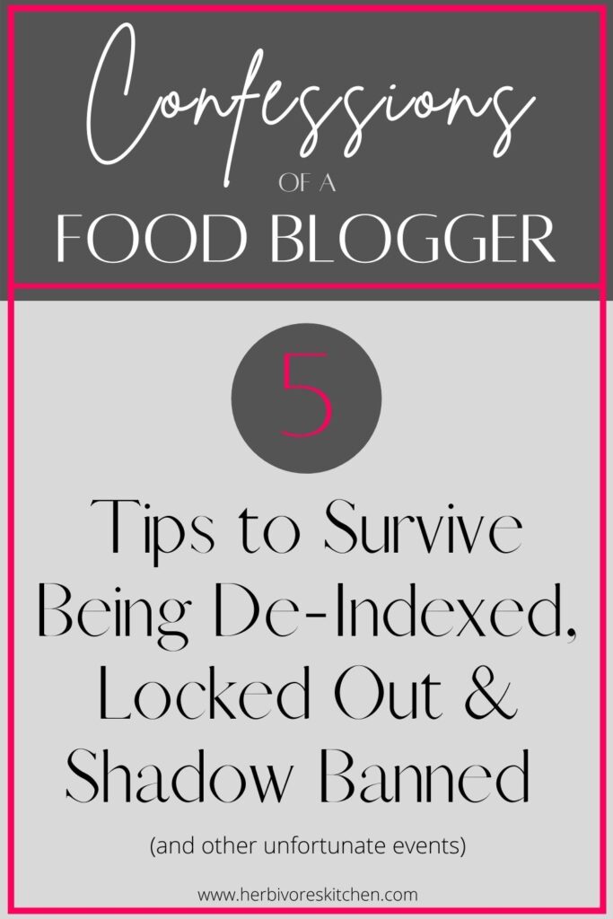 5 Blogging Tips to Survive Being De-Indexed Locked Out & Shadow Banned